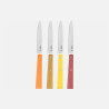 OPINEL- Coffret 4 Couteaux de table BON APPETIT- Agrumes