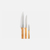 COFFRET TRIO PARALLELE OPINEL- OLIVIER
